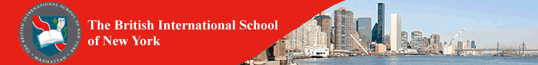 BISNYlogo